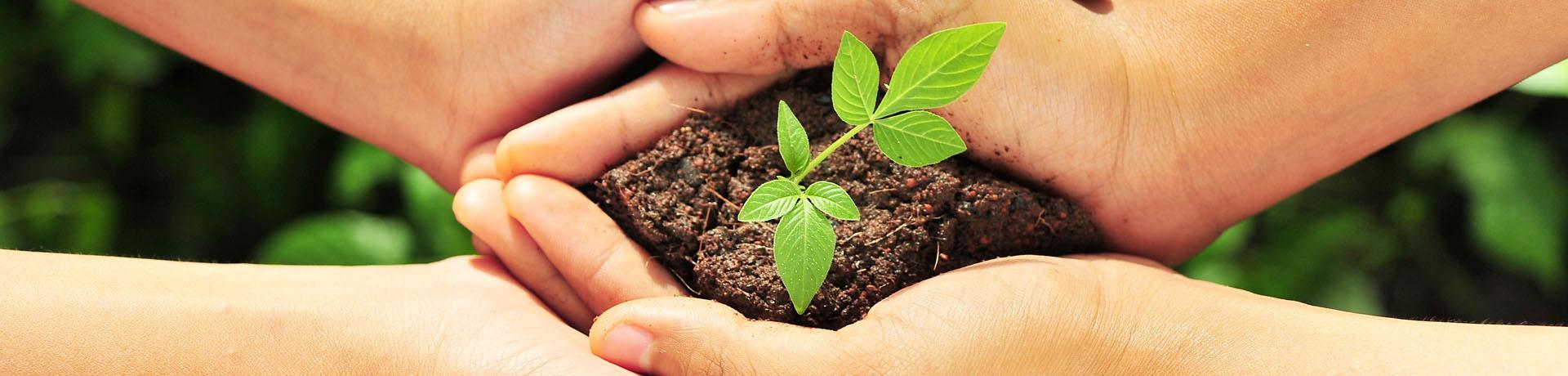 SADIA PER L’AMBIENTE
